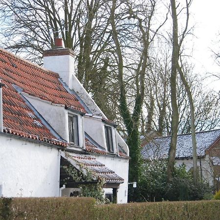 Wickham House Bed and Breakfast North Somercotes Εξωτερικό φωτογραφία